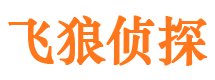 隰县市侦探调查公司